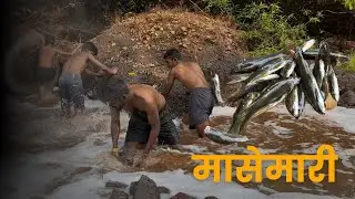 Kokan Traditional Fish Catching | कोकणातील पारंपारिक मासेमारी | Fishing | @SiddharthWithStories 