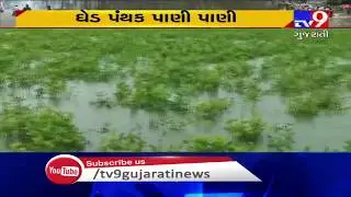 Following heavy rain in upstream areas, Ghed region waterlogged | Porbandar - Tv9