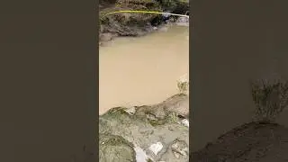 DI BUAT MELENGKUNG JORANNYA GAESS!!!#mancing #mancingmania #fishing #microfishing #videoshort