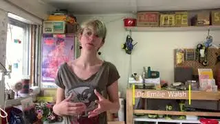 Couleur Emilie Walsh Video pitch for Creative Victoria