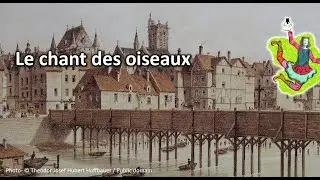 Le chant des oiseaux