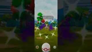 ✨SHINY✨ SHADOW LATIAS caught in Pokemon go ✨ #shorts #ytshorts #catchlegendarypokemon