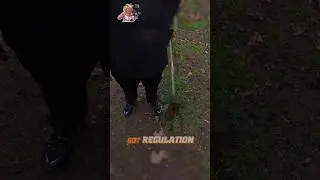 Разъяренная Карен попыталась сорвать нашу FPV-сессию&hellip; Большая ошибка 😬🚁
