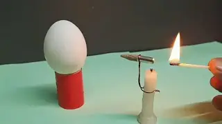 Egg Vs Bullet Experiments #experiment #shorts