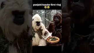 punjabi bandar first vlog #viral #monkey #punjabidubbing #funny #firstvlog #shorts
