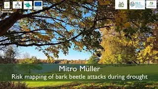 Risk mapping of bark beetle attacks during drought | Mitro M&uuml;ller