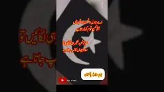Youm e Difa Pakistan #amwrites #viralvideo #shorts #foryou #defenceday #6september #14august
