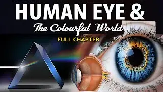 NURVOUS SYSTEM AND EYE CLASS - 11 Human Eye Explained | Structure and Function by Ravi Kumar - CPC