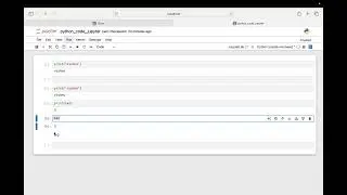 Jupyter Notebook basics concepts English