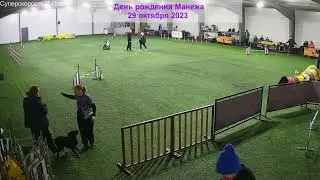 ДогСпортЛото M. Аджилити / Agility. Спорт с собакой.