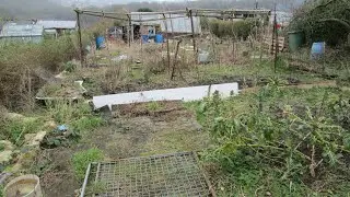 Why did I get a second allotment?