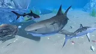 Tiger Shark VS All Boss - Ultimate Shark Simulator (By Gluten Free Games) [4K 60FPS]