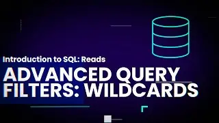 Advanced Query Filters: Wildcards