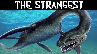 Terrifying Tales of the Loch Ness Monster!