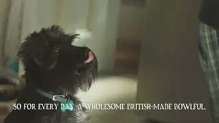 Butcher's Dog Food 10sec advert Vet Recommended, Every Day Bowlful Feb23- Available from Sainsbury's