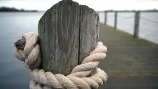 A Short Clip Demonstrating the Moza Slypod E