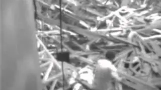 WATCH church roof collapses in Brazil FULL VIDEO