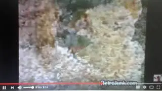 Spring Blossom Ultra Snuggle Commercial From 1996