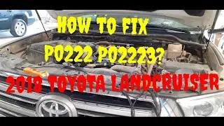 THROTTLE/PEDAL POSITION SENSOR/SWITCH B LOW INPUT