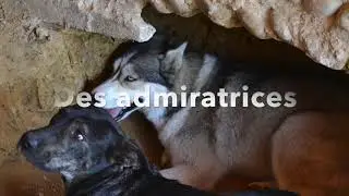 Reprise de fondations dans une bâtisse en pisé à Sulignat
