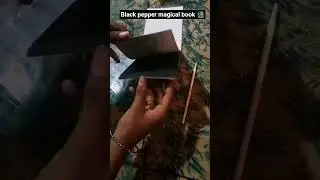 black pepper magical book 📚#10 pages #magical Book mein drawing banaenge next video mein#subscribe #