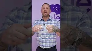 Замена подушки AirFit P30i