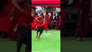 Akan Traditional Dance on display in Ghana #Ghana #Tradition #Dance #Shorts