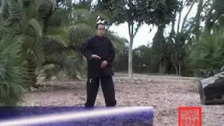 Chi Kung del Riñon