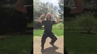 Wudang Method pt. 2 - Bow and Arrow Stance Brocade (taught by Wudang Funk)