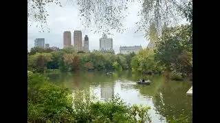 Central Park in the Fall 🍁 Bow Bridge