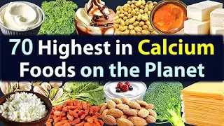 Top Calcium-Rich Foods &ndash; Dairy, Vegetables, Fruits, Nuts, Seeds, Beans, Seafood High in Calcium