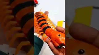 RC Remote Control Insect Millipede Prank Gadget #shots #viral #trending #ytshorts @AZToys
