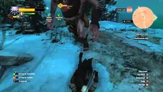 The witcher 3: Ekhidna decoction and whirl is unstoppable.