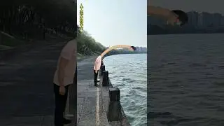 Artificial water transport to rescue drought special effect drought#funny#shorts