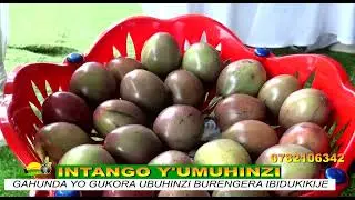GUKORA UBUHINZI BURENGERA IBIDUKIKIJE NI INGENZI