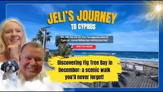 Discovering Fig Tree Bay in December: a scenic walk you'll never forget!