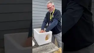 Building a Winter Cat Shelter