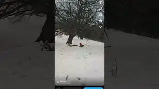 Sledding February 2020 2 of 3