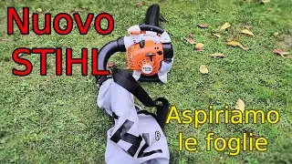 Soffiatore-aspiratore all'opera: tritiamo le foglie!
