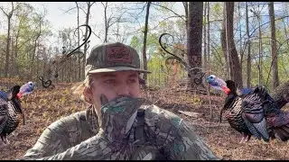 SOLO North Georgia PUBLIC Turkey Hunt (TOUGH BIRDS)