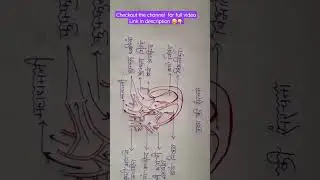 Structure  of heart&nbsp;🫀#shorts #biology #heart #structureofheart #science #10thclass #10th #ytshorts
