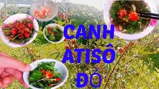 CANH ATISÔ ĐỎ || CHẾ BIẾN MÓN ĂN 