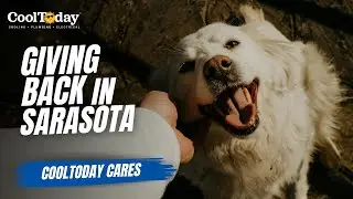 Giving Back to Our Community in Sarasota, FL | CoolToday HVAC Donates $5 Per Service Call
