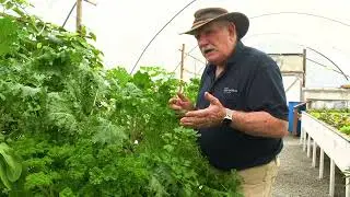 Aquaponics Greenhouse inspection. Plans that have gone well.