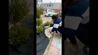 Garden landscaping Timelapse #viral #india #explore #shorts #familyvlog #lifeingermany #indian #fypシ