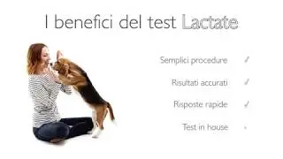 Lattato con Cube-Vet