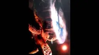A'Tuin With the Universe