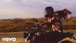 Steve and the Not Steves - Pardon Me Patrick (Official Music Video)
