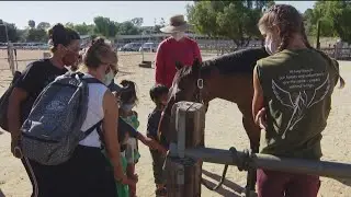 Equine therapy for healthcare workers and first responders in North County