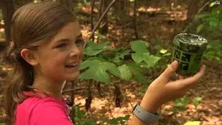 Geocaching: A modern day treasure hunt!